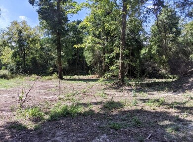 4710 Shadow Pond Ln, Alvin, TX 77511 - photo 6