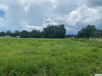 Lot 4A Antioch Rd, Conway, SC 29527 - photo 3