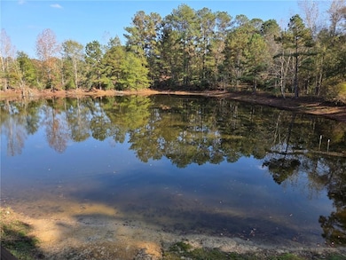 918 Spring Hill Rd, Poplarville, MS 39470 - photo 3