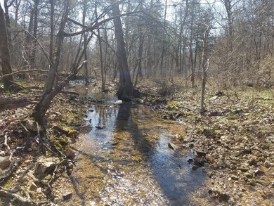 20190402_103946 (Copy)