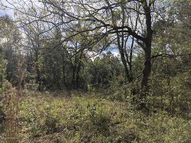 3140 Bessent Rd, Jacksonville, FL 32218 - photo 2