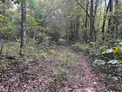 TBD Highway 57, Chidester, AR 71726 - photo 7