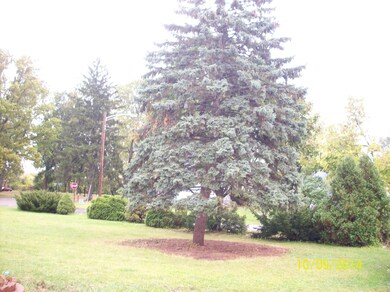 Side Lot