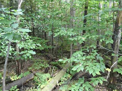 0 Jones Rd unit 4655497, Effingham, NH 03882 - photo 6