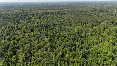 333 Yocum Rd unit LotWP002, Trout, LA 71371 - photo 2