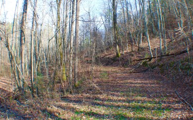 Additional View