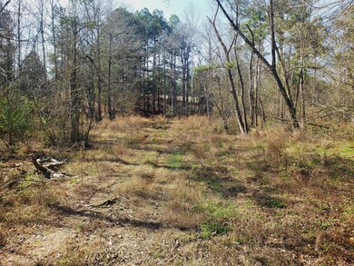TBD County Road 153, Nacogdoches, TX 75965 - photo 5