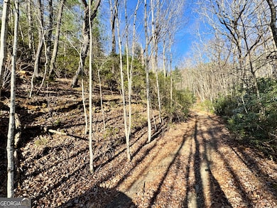 0 Mule Branch Rd unit 10655521, Helen, GA 30545 - photo 2