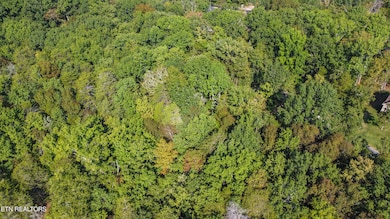 310 Elohi Trace, Loudon, TN 37774 - photo 5