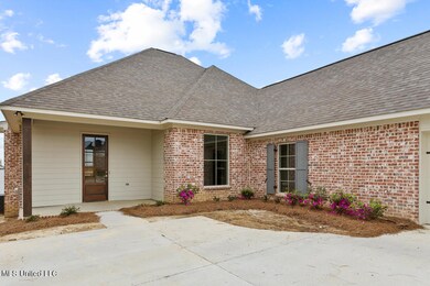 146 Herons Bay Cir, Madison, MS 39110 - photo 2