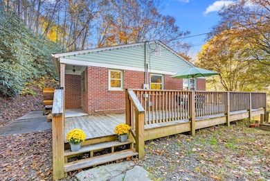 456 Rector Corner Rd, Marshall, NC 28753 - photo 6