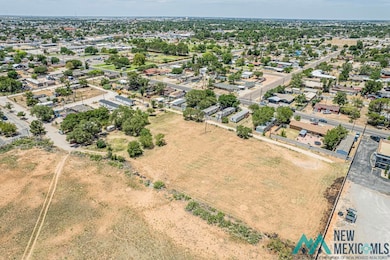 1307 E Snyder St, Hobbs, NM 88240 - photo 6