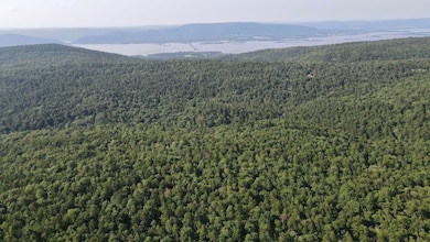 Flagpole Mountain Rd, Clayton, OK 74536 - photo 5