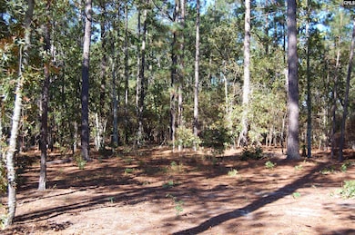 322 Sandspur Rd, Camden, SC 29020 - photo 5