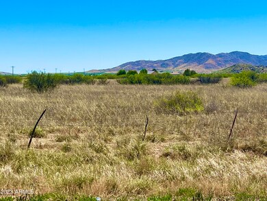 IMG-7046
