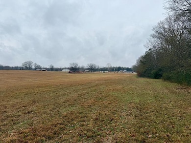 8.04 ac Norman Rd, Corinth, MS 38834 - photo 4