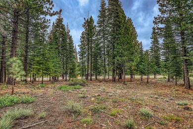 9270 Brae Rd, Truckee, CA 96161 - photo 2