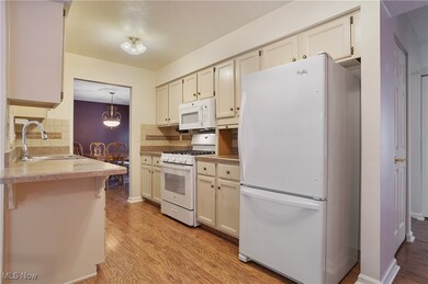 10502 White Ash Trail, Twinsburg, OH 44087 - photo 4