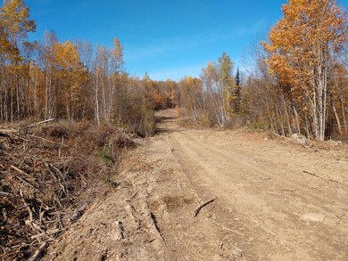 L 6 Tolman Hill Rd, Carroll Plantation, ME 04487 - photo 2