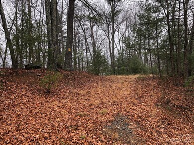 TBD Deer Run unit 56, Purlear, NC 28665 - photo 3