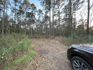 10311 Lake Dr, Willis, TX 77095 - photo 3