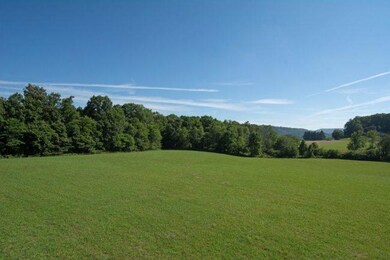 Little-Meadows-006-650x434