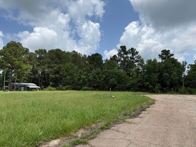 0 Bellewood Park, Columbia, MS 39429 - photo 6