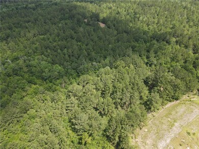 View of property location featuring a forest