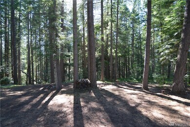 0 Bunker Rd, Ronald, WA 98922 - photo 5