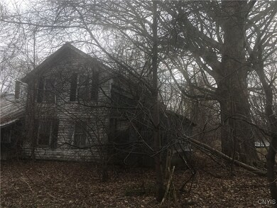 Hundred year old + sugar maples on the property ed