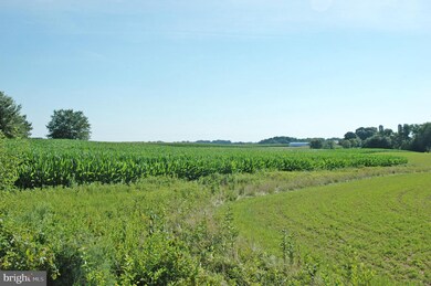 Lot 1 Crystal Beach Rd, 1, Cecilton, MD 21919 - photo 2