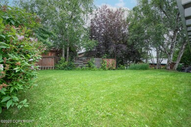 back yard 3
