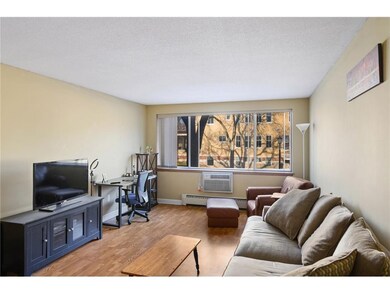 Huge Living room, great natural light