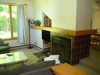 496 Woods Ln unit E7, Killington, VT 05751 - photo 4