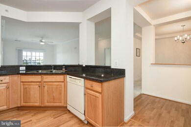 700 Cattail Cove, Cambridge, MD 21613 - photo 7