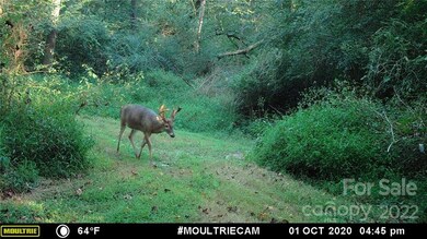 743 Cove Rd, Gastonia, NC 28052 - photo 5