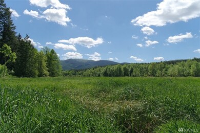 18333 Bald Hill Rd SE, Yelm, WA 98597 - photo 2