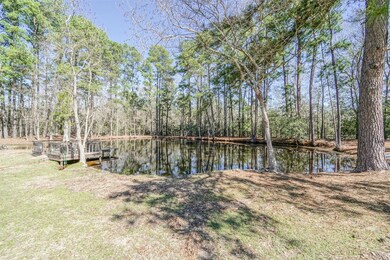 14950 Walker Rd, Conroe, TX 77302 - photo 6