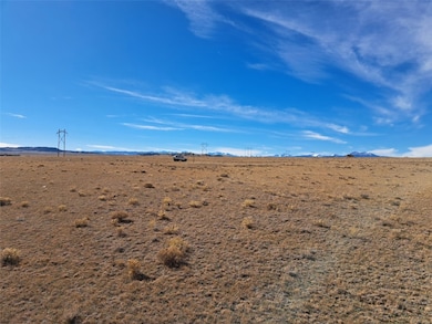 3547 Routt Rd, Hartsel, CO 80449 - photo 4