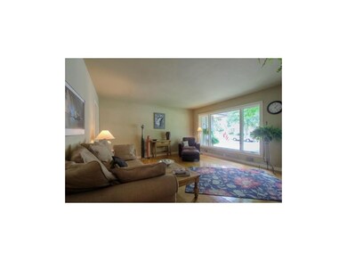 Bright & Sunny Living Room.