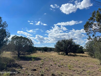 S2 358 Lucky Ln, Ash Fork, AZ 86320 - photo 6