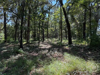 0 Sunbury Rd unit Tract 6 SA339082, Daisy, GA 30417 - photo 3