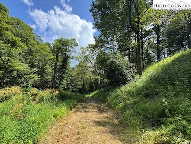 TBD Wyeth Dr, Blowing Rock, NC 28605 - photo 5