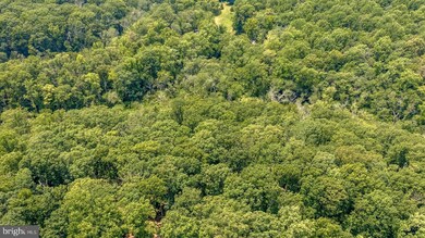 1482 Shot Town Rd, Annapolis, MD 21409 - photo 5