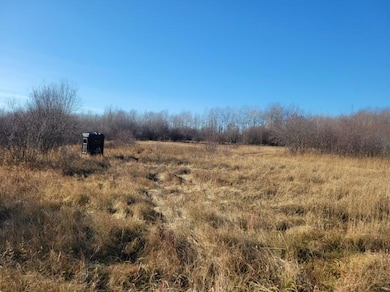 XXX 29th Ave SW, Baudette, MN 56623 - photo 3