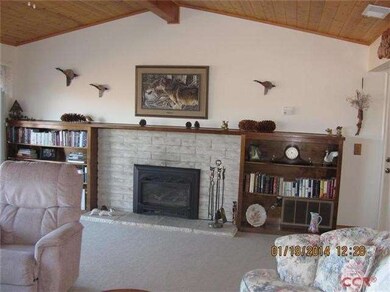 Fireplace insert installed 2008 with remote