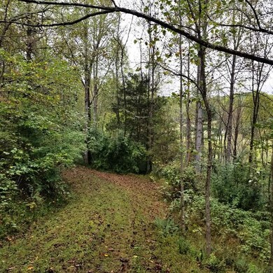 00 Lot 1 Lorelei Hills, Franklin, NC 28734 - photo 2