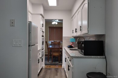 22 N Forest Ave unit 2S, Rockville Centre, NY 11570 - photo 7