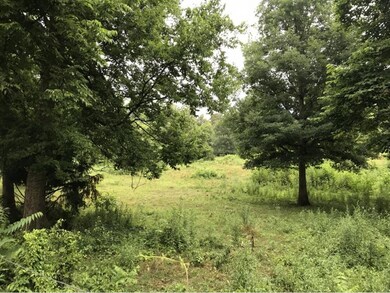 LOT 1 Blake Rd, Greeneville, TN 37743 - photo 6