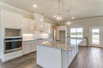 1032 Henry Way, Springtown, TX 76082 - photo 5